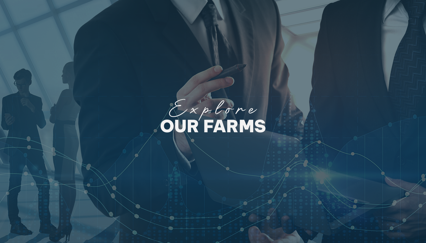 Our Farms